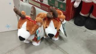 Singing Corgi's at Lowes