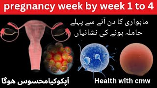 Periods Sy Pehly Pregnancy Ki Alamat | Pregnancy Symptoms | Pregnancy week by week