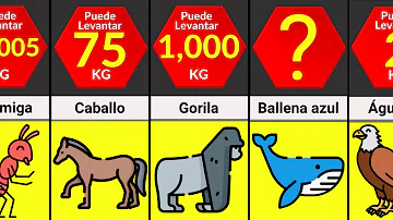 ¿Cuál es el animal más fuerte del mundo en 2023?