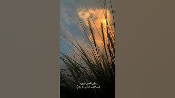 أرح سمعك 🥀القارئ: أحمد النفيس 🍃