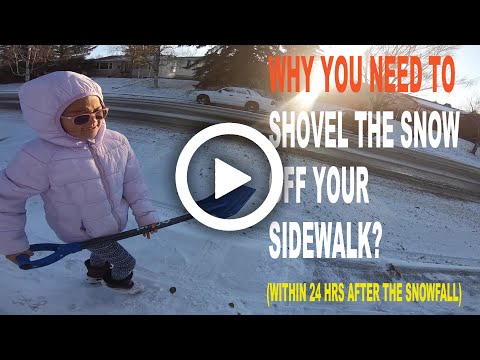 why-you-need-to-shovel-the-snow-off-your-sidewalk?