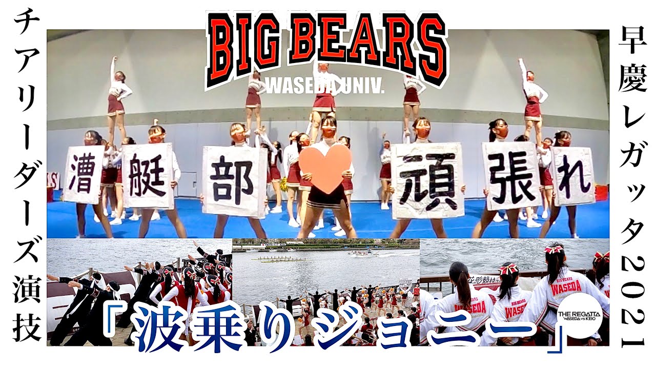 【BIGBEARS】早慶レガッタ チアリーダーズ演技【早稲田大学応援部】