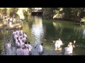 Baptism -  Jordan River Israel Tour