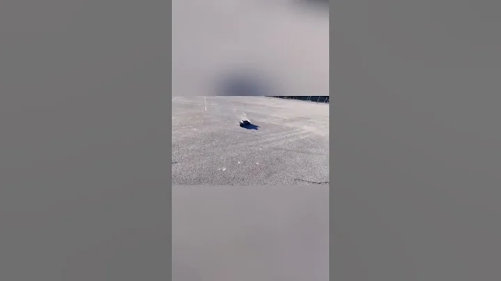 Arrma Infraction on solid rubber tyres #shorts #arrma