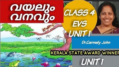 Science standard 4 വയലും വനവും vayalum vanavum EVS Unit 1 Kerala state syllabus new science TLM