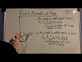 Multivariable Calculus Lesson: Moments and Center of Mass