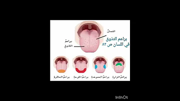الرسومات المطلوبة لمادة العلوم للصف السادس الإبتدائي 