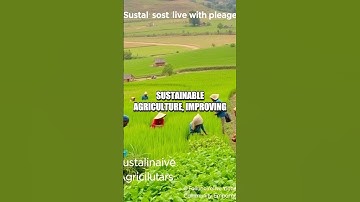 SDG 2 - Zero Hunger