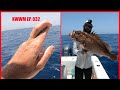 MY FIRST DEEP DROP IN MONTHS!!! | COMMERCIAL FISHING | Key West Waterman Ep. 032