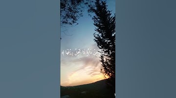 #سورة #العنكبوت (٥٩ - ٦٠) بصوت القارئ الشيخ #عبدالرحمن_مسعد #abdelrahman_mossad