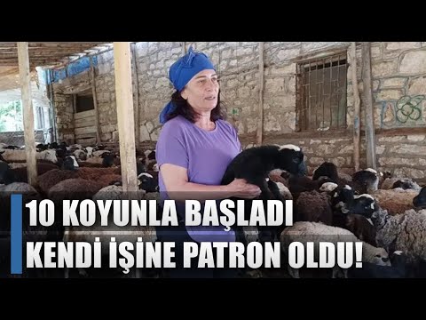 Devlet Desteğiyle 10 Koyun Aldı 2 Bin Başlık Ahırın Patronu Oldu! / AGRO TV HABER