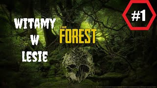 THE FOREST #1 / GAMEPLAY PL / WITAMY W LESIE