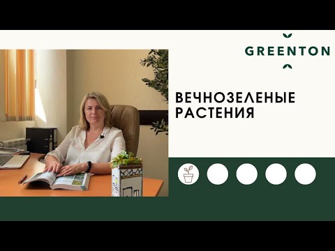Хвойные и лиственные