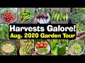 Full August 2020 California Garden Tour, Harvests, Gardening Tips & More!
