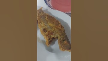 Trưa ngày 23/5/2025, mời quý vị dùng bữa cơm trưa đạm bạc nhé !