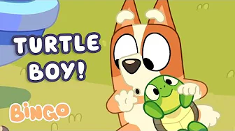 Bingo Plays with Turtleboy! 🐢 🧡 | Bluey Season 3 Highlight ⭐️ | Bingo - Official Channel
