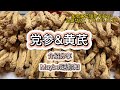 党参&amp;黄芪 介绍分享 —【Maybel话你知】