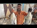 Two Trevally Fish Cutting And Slicing/Paarai Meen/ Fish Cutting Skill