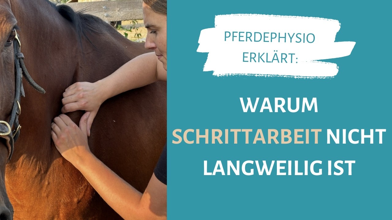 Warum Schrittarbeit nicht langweilig ist | Pferdephysio erklärt