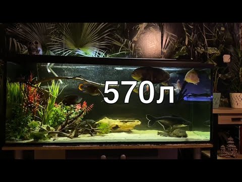 Видео: 570 литров