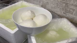 IMG 4992