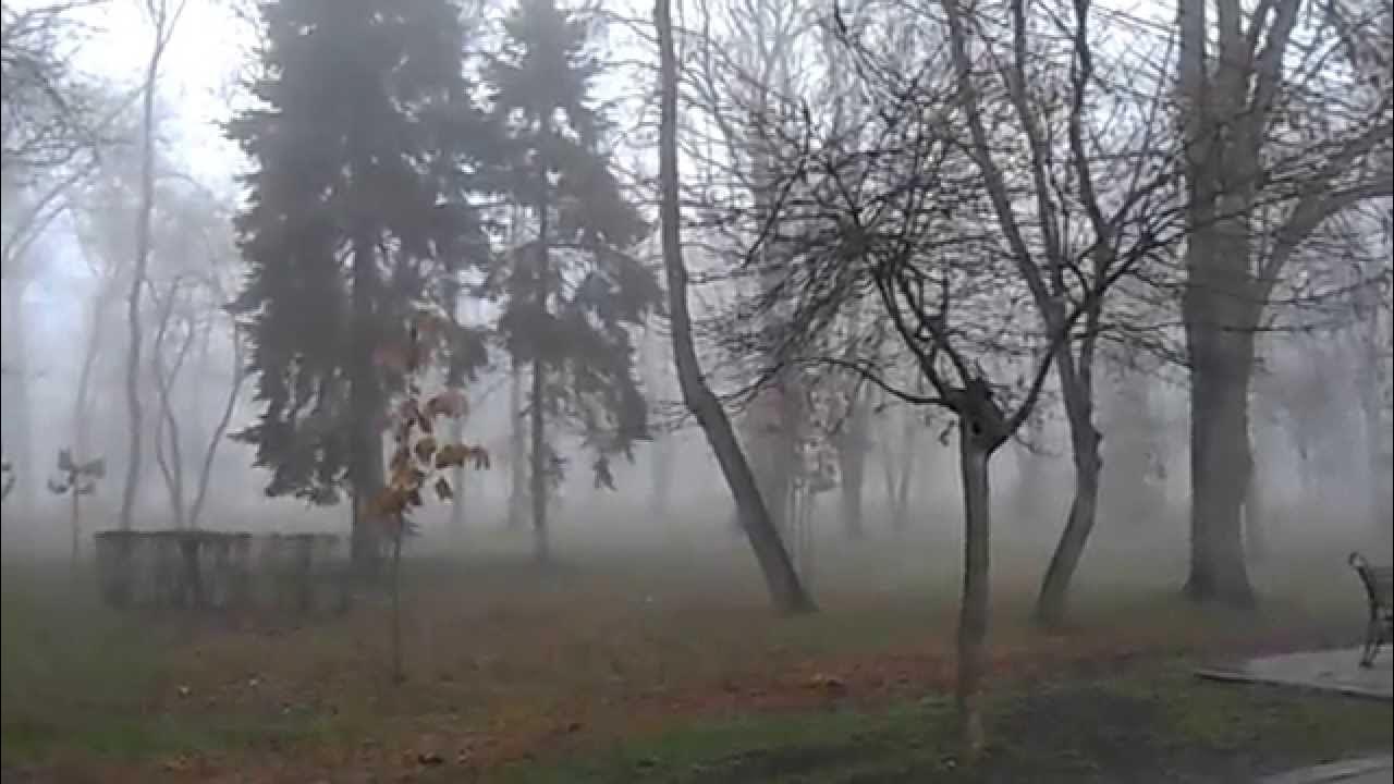 Туманное мартовское утро. Туманное мартовское утро в деревне. Утро туманное утро седое на гармони. Туманное мартовское утро фото.