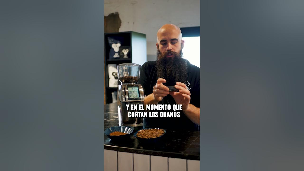 Molino de café: Todo lo que tienes que saber para comprar uno