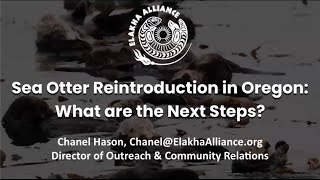Sea otter reintroduction in Oregon: What are the next steps?