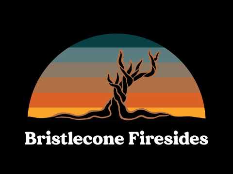 AML interview with Madison Daniels of Bristlecone Firesides