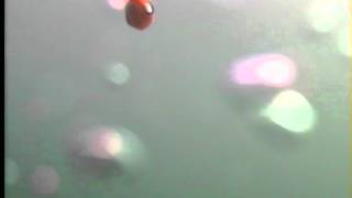 【鯛ラバ水中動画】ハヤブサ製 SLヘッド 45g