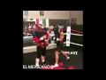 El Canelo Se Puso Los Guantes Con El Actor Mario Lopez Suscríbete EL MEXICANO