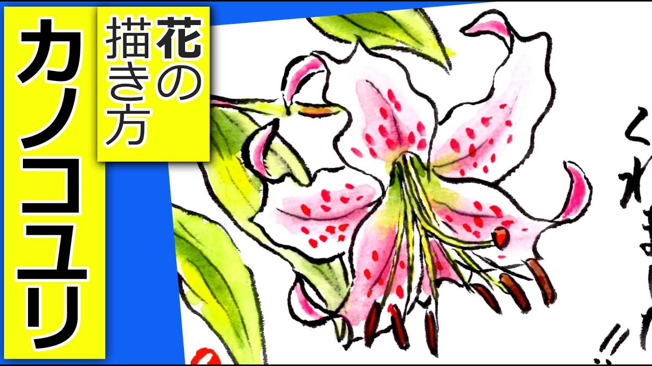 百合の描き方3 夏の花の描き方 7月 8月 9月 夏 初秋の絵手紙イラスト 鹿の子百合 Youtube