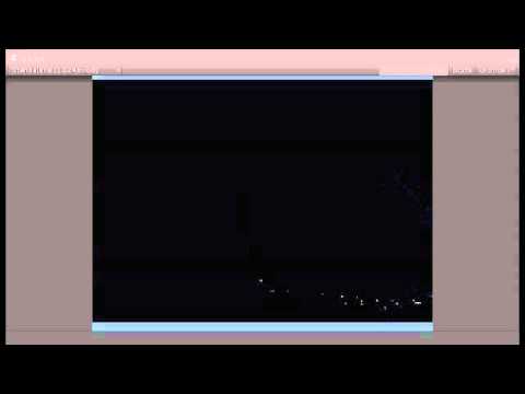 BOIDS SIMULATION