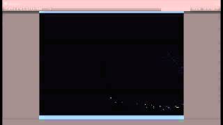 BOIDS SIMULATION