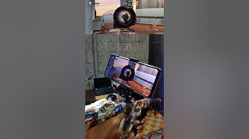 Controller #shorts#shortsfeed#controller#cybotgaming#codm