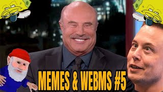 Memes Webms
