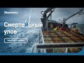 Режим выживания | Смертельный улов | Discovery