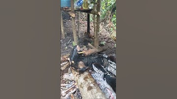 Cuối tuần của gia đình tại trang trại // Món nướng - xin mời cả nhà - tronpiu vlog #shorts