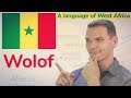WOLOF! An Intriguing Language of West Africa