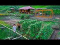 Sang vys ecofriendly farming secrets for clean food and livestock