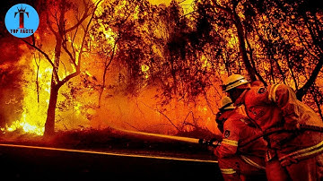 Top 10 Most Dangerous Wildfire in History