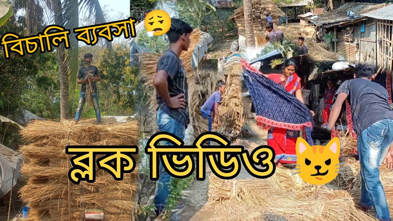বিচালি ব্যবসা ব্লক ভিডিও ☺️