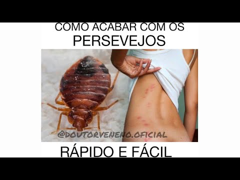 Vídeo: Como se livrar das pulgas com sabão para lava-louças: 11 etapas