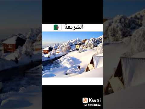 هاذي هي بلدي