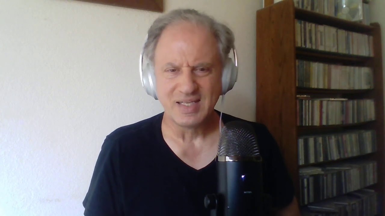 The Vinyl Experience