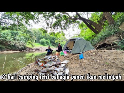 2hari camping istri bahagia ikan melimpah di sungai kalimantan