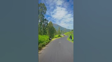 Jalan dari Jumprit menuju Tambi, Canggal, Candiroto, Temanggung, Jawa Tengah #temanggung #candiroto