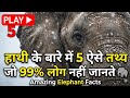 हाथी के बारे में 5 ऐसे तथ्य जो 99% लोग नहीं जानते 🐘 | Amazing Elephant Facts
