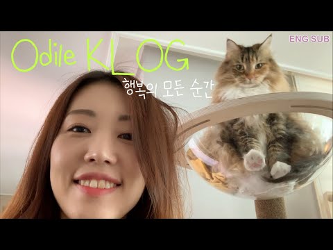 (ENG)Vlog “ 캠핑 • 캣타워 조립하기 • 베란다 정원 만들기 • 주부일상 • Camping • Cat Tower • <strong>Home</strong> <strong>Gardening</strong>