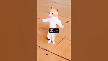 اسم عمر استنو الجزء الثالث عمر جنى روب بلاكبينك الكيبوب عمر بس باي يا حلوين 